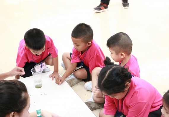 ภาพกิจกรรม คณะวิทยาศาสตร์และเทคโนโลยี จัดกิจกรรมค่ายวิทยาศาสตร์โรงเรียนสาธิตฯ ระดับชั้นอนุบาล