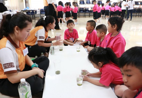 ภาพกิจกรรม คณะวิทยาศาสตร์และเทคโนโลยี จัดกิจกรรมค่ายวิทยาศาสตร์โรงเรียนสาธิตฯ ระดับชั้นอนุบาล