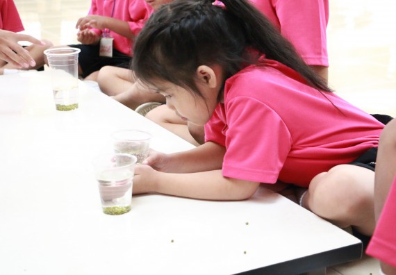 ภาพกิจกรรม คณะวิทยาศาสตร์และเทคโนโลยี จัดกิจกรรมค่ายวิทยาศาสตร์โรงเรียนสาธิตฯ ระดับชั้นอนุบาล