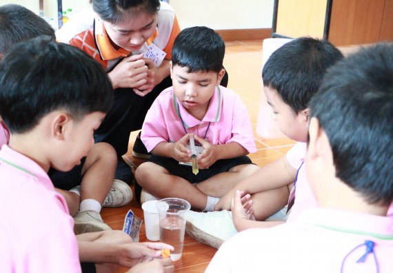 ภาพกิจกรรม คณะวิทยาศาสตร์และเทคโนโลยี จัดกิจกรรมค่ายวิทยาศาสตร์โรงเรียนสาธิตฯ ระดับชั้นอนุบาล