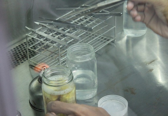 ภาพกิจกรรม คณะวิทยาศาสตร์และเทคโนโลยี จัดกิจกรรมค่ายวิทยาศาสตร์โรงเรียนตากพิทยาคม ระดับมัธยมศึกษาปีที่ 5