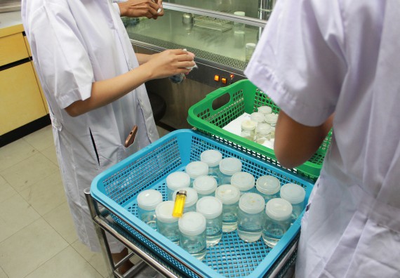 ภาพกิจกรรม คณะวิทยาศาสตร์และเทคโนโลยี จัดกิจกรรมค่ายวิทยาศาสตร์โรงเรียนตากพิทยาคม ระดับมัธยมศึกษาปีที่ 5