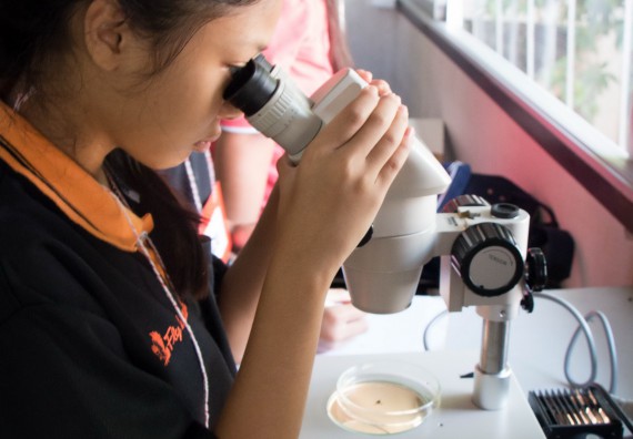 ภาพกิจกรรม คณะวิทยาศาสตร์และเทคโนโลยี จัดกิจกรรมค่ายวิทยาศาสตร์โรงเรียนสาธิตฯ ระดับชั้นประถมศึกษาปีที่ 1-6