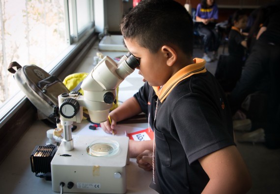 ภาพกิจกรรม คณะวิทยาศาสตร์และเทคโนโลยี จัดกิจกรรมค่ายวิทยาศาสตร์โรงเรียนสาธิตฯ ระดับชั้นประถมศึกษาปีที่ 1-6