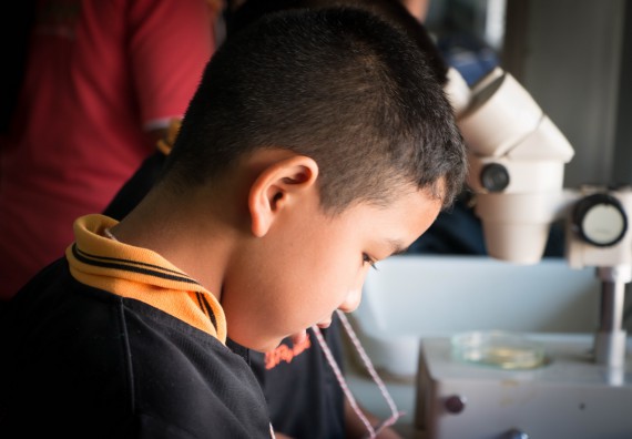 ภาพกิจกรรม คณะวิทยาศาสตร์และเทคโนโลยี จัดกิจกรรมค่ายวิทยาศาสตร์โรงเรียนสาธิตฯ ระดับชั้นประถมศึกษาปีที่ 1-6