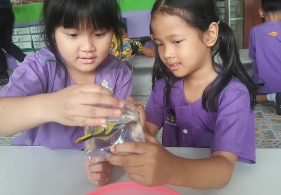 ภาพกิจกรรม คณะวิทยาศาสตร์และเทคโนโลยี จัดกิจกรรมพัฒนาทักษะทางด้านวิทยาศาสตร์สำหรับนักเรียนชั้นอนุบาล