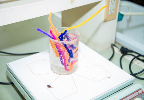 ภาพกิจกรรม คณะวิทยาศาสตร์และเทคโนโลยี จัดกิจกรรมค่ายวิทยาศาสตร์โรงเรียนอนุบาลกำแพงเพชร