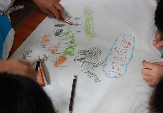 ภาพกิจกรรม คณะวิทยาศาสตร์และเทคโนโลยี จัดกิจกรรมค่ายวิทยาศาสตร์โรงเรียนอนุบาลกำแพงเพชร