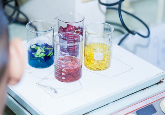 ภาพกิจกรรม คณะวิทยาศาสตร์และเทคโนโลยี จัดกิจกรรมค่ายวิทยาศาสตร์โรงเรียนอนุบาลกำแพงเพชร