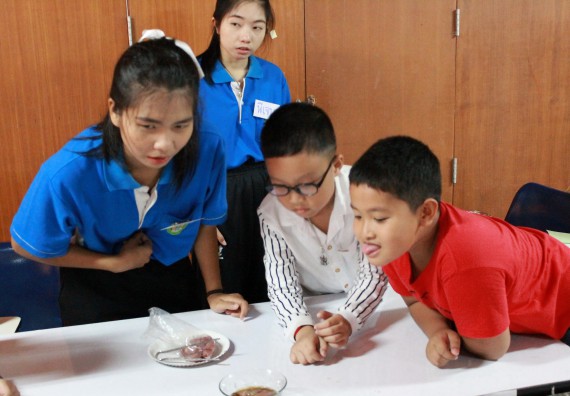 ภาพกิจกรรม คณะวิทยาศาสตร์และเทคโนโลยี จัดกิจกรรมค่ายวิทยาศาสตร์โรงเรียนอนุบาลกำแพงเพชร