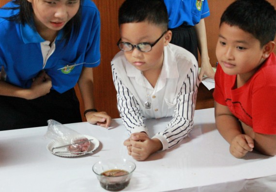 ภาพกิจกรรม คณะวิทยาศาสตร์และเทคโนโลยี จัดกิจกรรมค่ายวิทยาศาสตร์โรงเรียนอนุบาลกำแพงเพชร