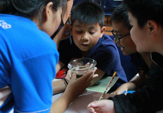 ภาพกิจกรรม คณะวิทยาศาสตร์และเทคโนโลยี จัดกิจกรรมค่ายวิทยาศาสตร์โรงเรียนอนุบาลกำแพงเพชร