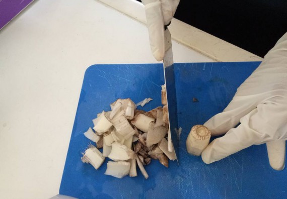 ภาพกิจกรรม คณะวิทยาศาสตร์และเทคโนโลยี จัดกิจกรรมค่ายวิทยาศาสตร์โรงเรียนตากพิทยาคม ระดับมัธยมศึกษาปีที่ 5