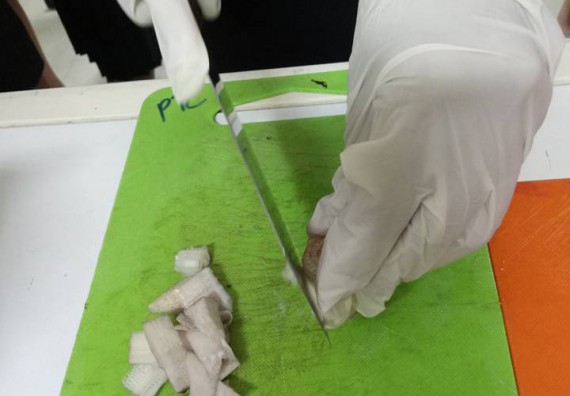 ภาพกิจกรรม คณะวิทยาศาสตร์และเทคโนโลยี จัดกิจกรรมค่ายวิทยาศาสตร์โรงเรียนตากพิทยาคม ระดับมัธยมศึกษาปีที่ 5