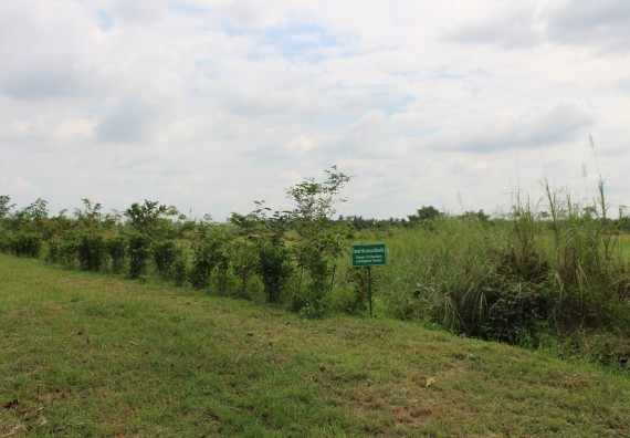 ภาพกิจกรรม คณะวิทยาศาสตร์และเทคโนโลยี จัดกิจกรรมสำรวจพื้นที่การอนุรักษ์ความหลากหลายทางชีวภาพ และการจัดทำสวนป่าสมุนไพร