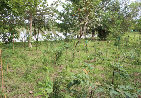 ภาพกิจกรรม คณะวิทยาศาสตร์และเทคโนโลยี จัดกิจกรรมสำรวจพื้นที่การอนุรักษ์ความหลากหลายทางชีวภาพ และการจัดทำสวนป่าสมุนไพร