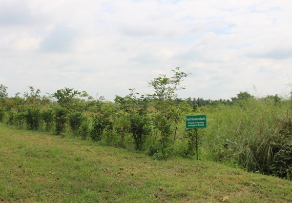 ภาพกิจกรรม คณะวิทยาศาสตร์และเทคโนโลยี จัดกิจกรรมสำรวจพื้นที่การอนุรักษ์ความหลากหลายทางชีวภาพ และการจัดทำสวนป่าสมุนไพร