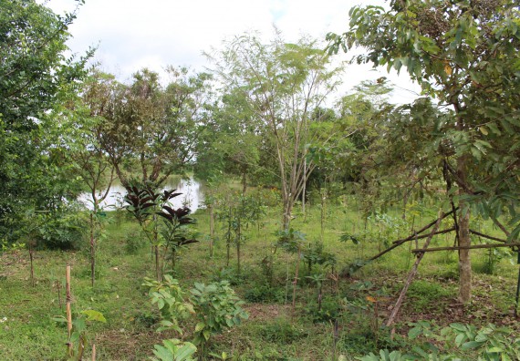 ภาพกิจกรรม คณะวิทยาศาสตร์และเทคโนโลยี จัดกิจกรรมสำรวจพื้นที่การอนุรักษ์ความหลากหลายทางชีวภาพ และการจัดทำสวนป่าสมุนไพร