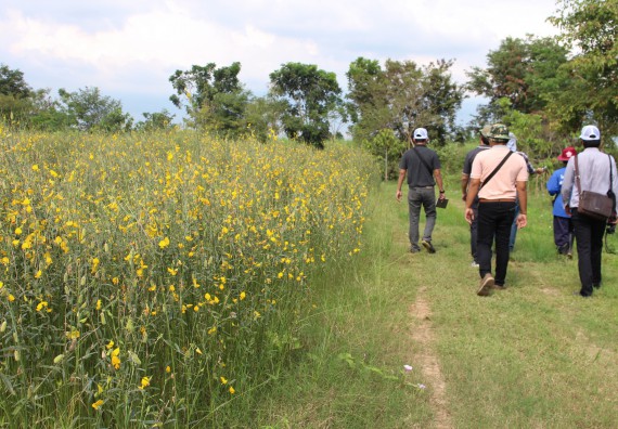 ภาพกิจกรรม คณะวิทยาศาสตร์และเทคโนโลยี จัดกิจกรรมสำรวจพื้นที่การอนุรักษ์ความหลากหลายทางชีวภาพ และการจัดทำสวนป่าสมุนไพร