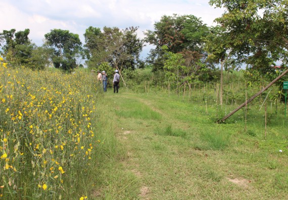 ภาพกิจกรรม คณะวิทยาศาสตร์และเทคโนโลยี จัดกิจกรรมสำรวจพื้นที่การอนุรักษ์ความหลากหลายทางชีวภาพ และการจัดทำสวนป่าสมุนไพร