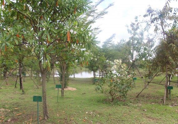 ภาพกิจกรรม คณะวิทยาศาสตร์และเทคโนโลยี จัดกิจกรรมสำรวจพื้นที่การอนุรักษ์ความหลากหลายทางชีวภาพ และการจัดทำสวนป่าสมุนไพร