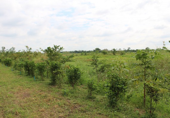 ภาพกิจกรรม คณะวิทยาศาสตร์และเทคโนโลยี จัดกิจกรรมสำรวจพื้นที่การอนุรักษ์ความหลากหลายทางชีวภาพ และการจัดทำสวนป่าสมุนไพร