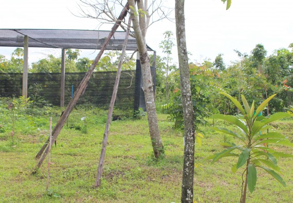 ภาพกิจกรรม คณะวิทยาศาสตร์และเทคโนโลยี จัดกิจกรรมสำรวจพื้นที่การอนุรักษ์ความหลากหลายทางชีวภาพ และการจัดทำสวนป่าสมุนไพร