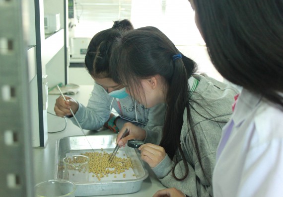 ภาพกิจกรรม โปรแกรมวิชาวิทยาศาสตร์และเทคโนโลยีการอาหาร จัดโครงการอบรมเชิงปฏิบัติการเรื่อง อาหารปลอดภัย