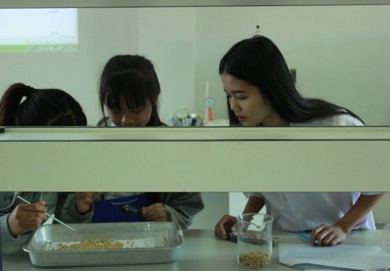 ภาพกิจกรรม โปรแกรมวิชาวิทยาศาสตร์และเทคโนโลยีการอาหาร จัดโครงการอบรมเชิงปฏิบัติการเรื่อง อาหารปลอดภัย