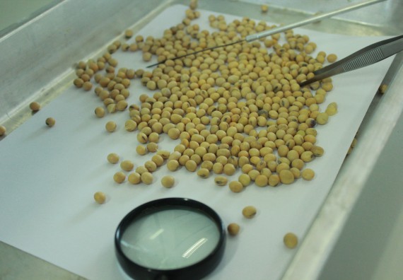 ภาพกิจกรรม โปรแกรมวิชาวิทยาศาสตร์และเทคโนโลยีการอาหาร จัดโครงการอบรมเชิงปฏิบัติการเรื่อง อาหารปลอดภัย