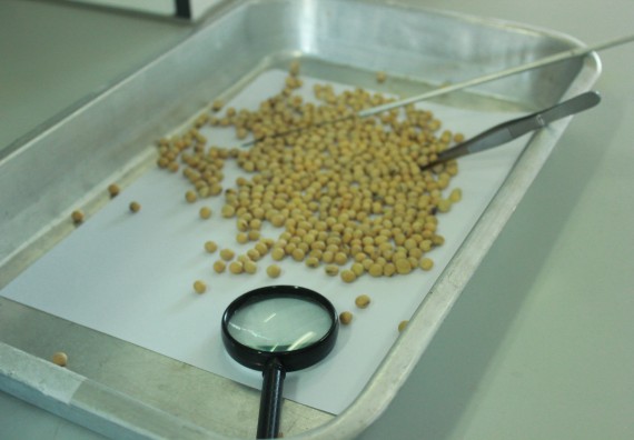 ภาพกิจกรรม โปรแกรมวิชาวิทยาศาสตร์และเทคโนโลยีการอาหาร จัดโครงการอบรมเชิงปฏิบัติการเรื่อง อาหารปลอดภัย