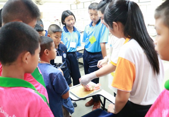 ภาพกิจกรรม สำนักประกันคุณภาพการศึกษา ร่วมมือกับ คณะวิทยาศาสตร์และเทคโนโลยี จัดกิจกรรม
