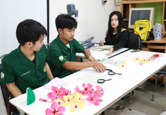 ภาพกิจกรรม สำนักประกันคุณภาพการศึกษา ร่วมมือกับ คณะวิทยาศาสตร์และเทคโนโลยี จัดกิจกรรม