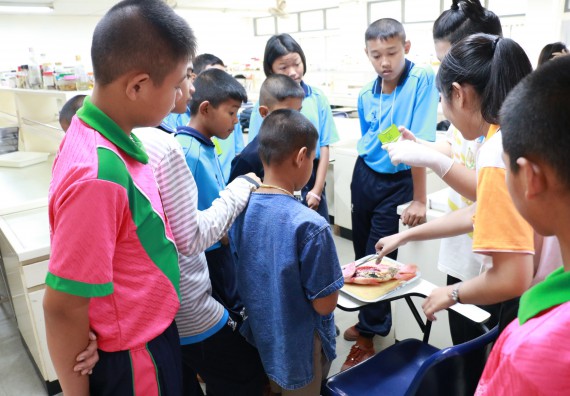 ภาพกิจกรรม สำนักประกันคุณภาพการศึกษา ร่วมมือกับ คณะวิทยาศาสตร์และเทคโนโลยี จัดกิจกรรม