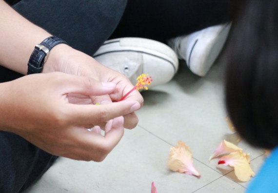 ภาพกิจกรรม สำนักประกันคุณภาพการศึกษา ร่วมมือกับ คณะวิทยาศาสตร์และเทคโนโลยี จัดกิจกรรม