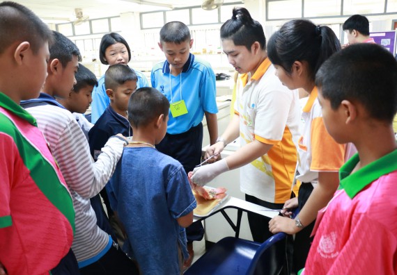 ภาพกิจกรรม สำนักประกันคุณภาพการศึกษา ร่วมมือกับ คณะวิทยาศาสตร์และเทคโนโลยี จัดกิจกรรม
