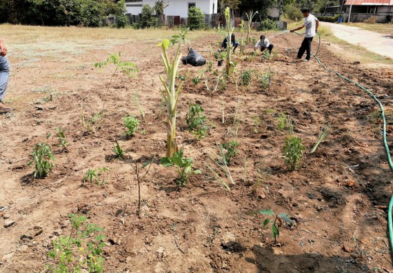 ภาพกิจกรรม โปรแกรมวิชาเกษตรศาสตร์ จัดการอบรม เรื่อง การขยายพันธุ์พืชและการปลูกพืชในหลุมพอเพียง