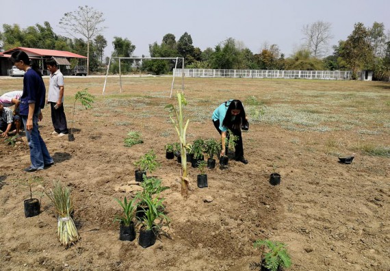 ภาพกิจกรรม โปรแกรมวิชาเกษตรศาสตร์ จัดการอบรม เรื่อง การขยายพันธุ์พืชและการปลูกพืชในหลุมพอเพียง