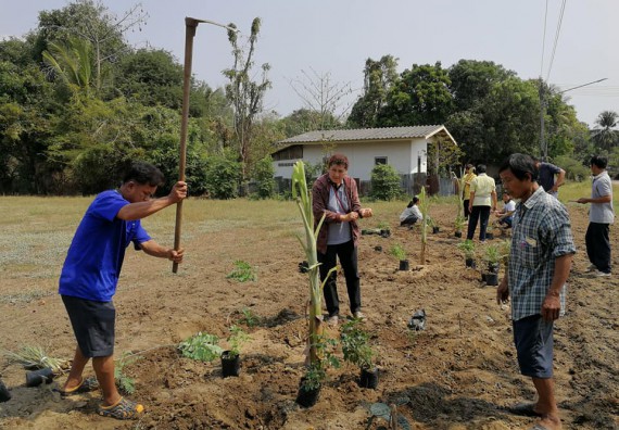 ภาพกิจกรรม โปรแกรมวิชาเกษตรศาสตร์ จัดการอบรม เรื่อง การขยายพันธุ์พืชและการปลูกพืชในหลุมพอเพียง