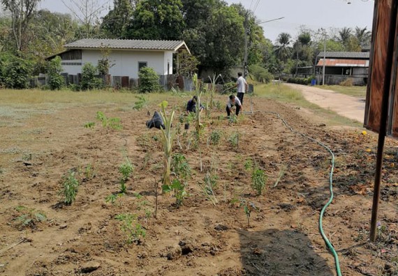 ภาพกิจกรรม โปรแกรมวิชาเกษตรศาสตร์ จัดการอบรม เรื่อง การขยายพันธุ์พืชและการปลูกพืชในหลุมพอเพียง