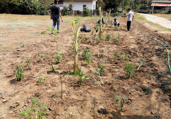 ภาพกิจกรรม โปรแกรมวิชาเกษตรศาสตร์ จัดการอบรม เรื่อง การขยายพันธุ์พืชและการปลูกพืชในหลุมพอเพียง