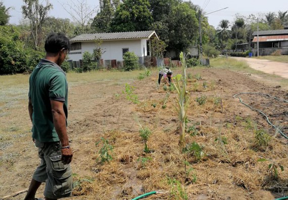 ภาพกิจกรรม โปรแกรมวิชาเกษตรศาสตร์ จัดการอบรม เรื่อง การขยายพันธุ์พืชและการปลูกพืชในหลุมพอเพียง