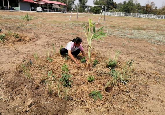 ภาพกิจกรรม โปรแกรมวิชาเกษตรศาสตร์ จัดการอบรม เรื่อง การขยายพันธุ์พืชและการปลูกพืชในหลุมพอเพียง