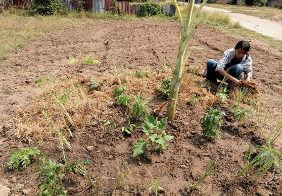 ภาพกิจกรรม โปรแกรมวิชาเกษตรศาสตร์ จัดการอบรม เรื่อง การขยายพันธุ์พืชและการปลูกพืชในหลุมพอเพียง