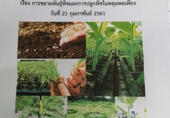 ภาพกิจกรรม โปรแกรมวิชาเกษตรศาสตร์ จัดการอบรม เรื่อง การขยายพันธุ์พืชและการปลูกพืชในหลุมพอเพียง