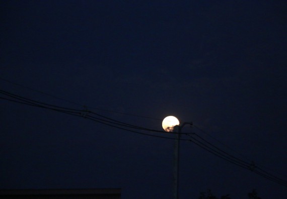 ภาพกิจกรรม ศูนย์วิทยาศาสตร์และวิทยาศาสตร์ประยุกต์ จัดกิจกรรมบริการวิชาการชมปรากฏการณ์ธรรมชาติ Super Blue Blood Moon