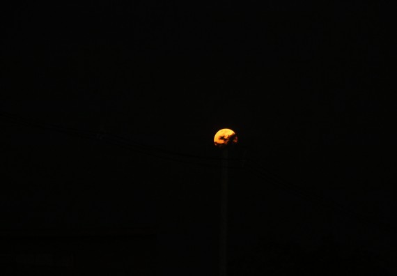 ภาพกิจกรรม ศูนย์วิทยาศาสตร์และวิทยาศาสตร์ประยุกต์ จัดกิจกรรมบริการวิชาการชมปรากฏการณ์ธรรมชาติ Super Blue Blood Moon