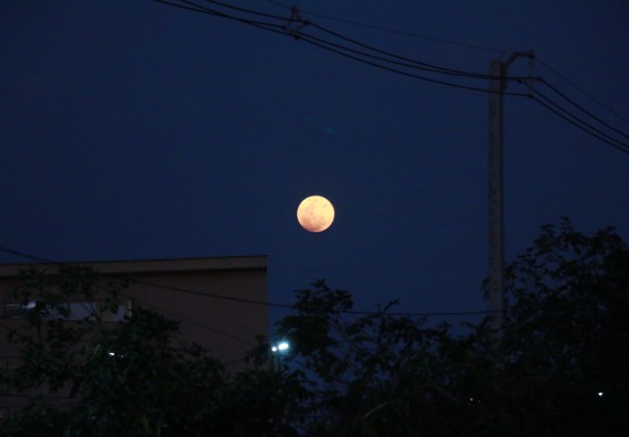 ภาพกิจกรรม ศูนย์วิทยาศาสตร์และวิทยาศาสตร์ประยุกต์ จัดกิจกรรมบริการวิชาการชมปรากฏการณ์ธรรมชาติ Super Blue Blood Moon