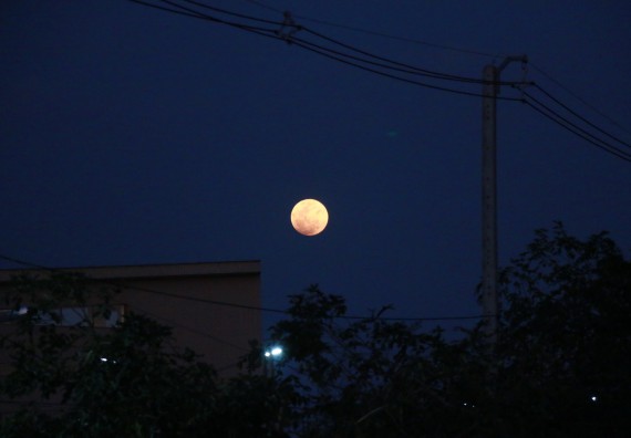 ภาพกิจกรรม ศูนย์วิทยาศาสตร์และวิทยาศาสตร์ประยุกต์ จัดกิจกรรมบริการวิชาการชมปรากฏการณ์ธรรมชาติ Super Blue Blood Moon