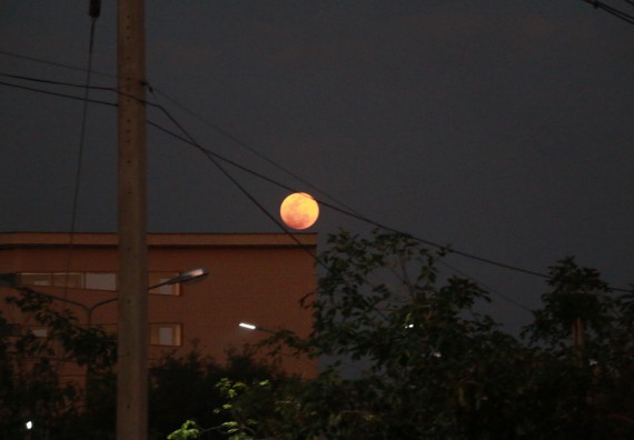 ภาพกิจกรรม ศูนย์วิทยาศาสตร์และวิทยาศาสตร์ประยุกต์ จัดกิจกรรมบริการวิชาการชมปรากฏการณ์ธรรมชาติ Super Blue Blood Moon